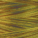 910-sm.jpg