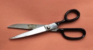 The scissors you can do just about anything with and mom won't get mad.