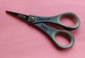 Snipping scissors, or scissors with very short, sharp blades are genius for cutting threads as you sew.