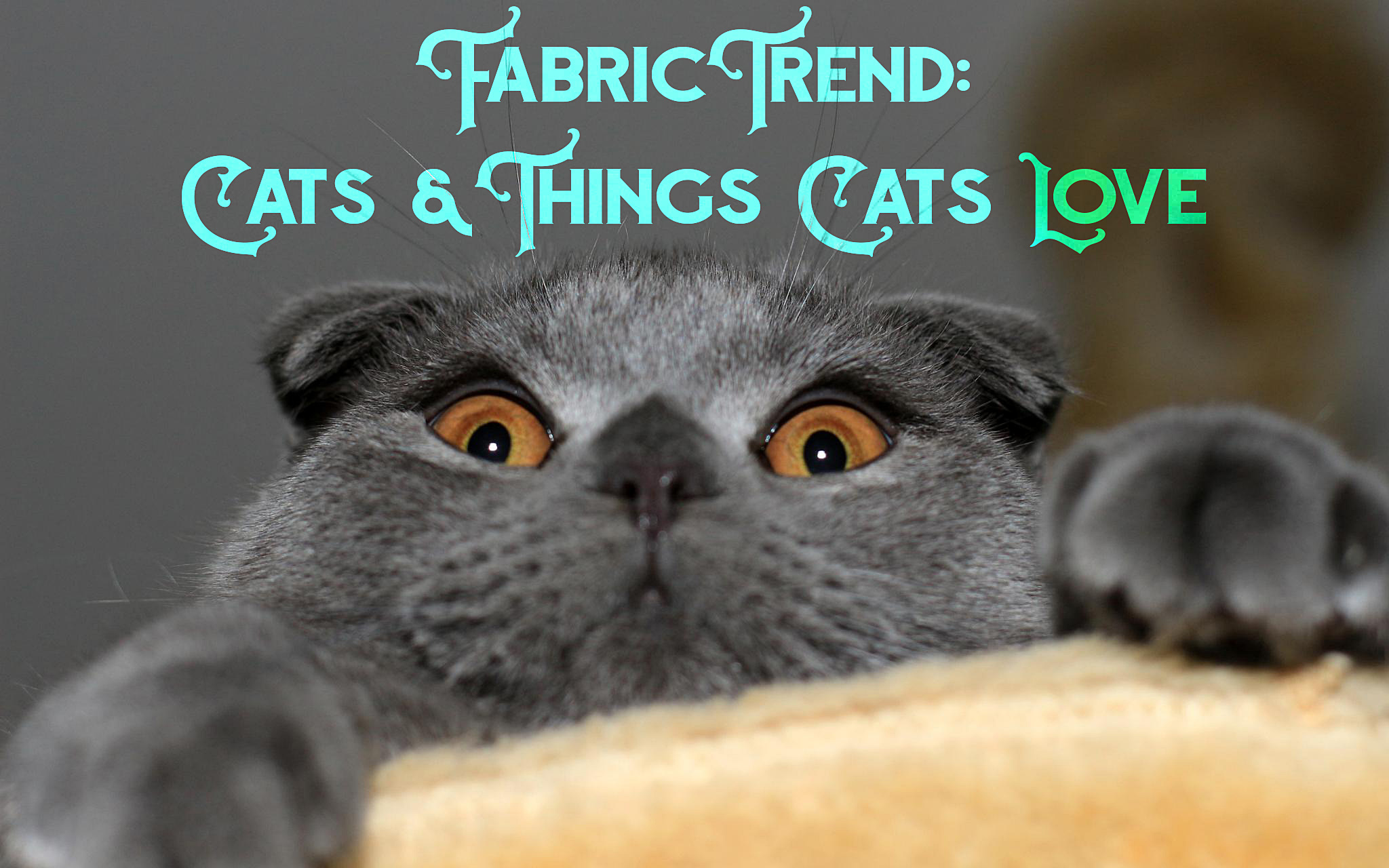Fabric Trend: Cats and Things Cats Love