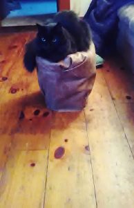 Cat Litter Bucket Small Ottoman