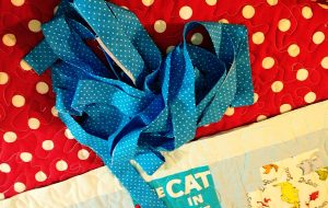 I chose a cornflower blue & white polka dot fabric.