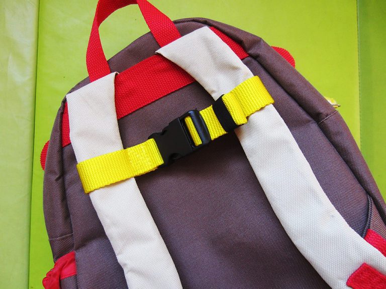 Skip Hop Children’s Backpack Hack Blog