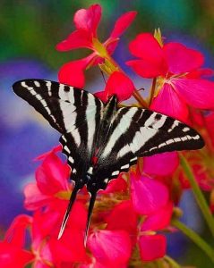 Happy Spring! The Joy of Warmer Weather & Beautiful Flowers