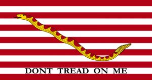 “Don’t Tread on Me” flag.