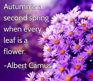 Autumn is a second spring when every leaf is a flower. - Albert Camus